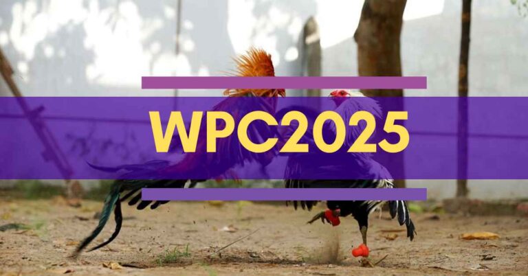 What You Need to Know about WPC2025 Live Dashboard Login